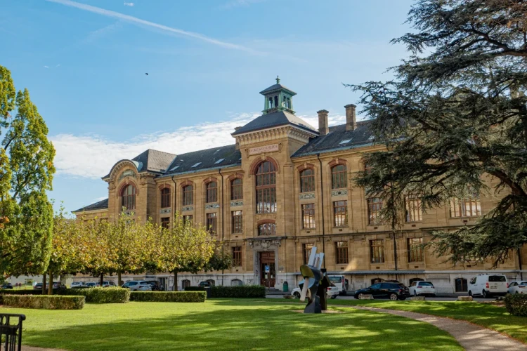 Design and Development Program